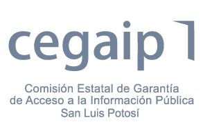 INE | Instituto Nacional Electoral