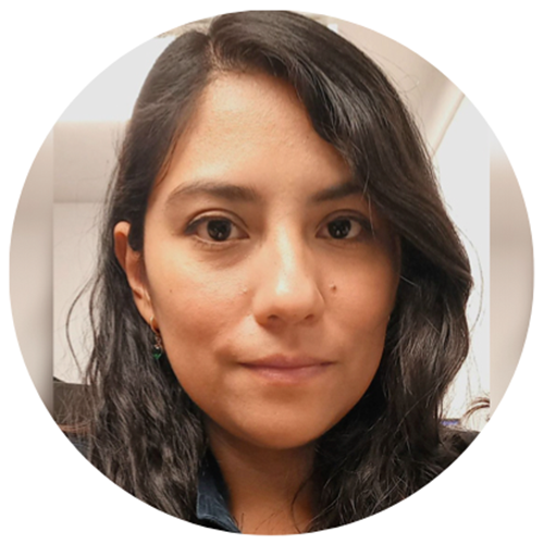 Crisol Baltazar / Ejecutivo SCCI / BSI • Bufete Soluciones Integrales S.C.