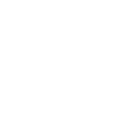 Icono Demostración
