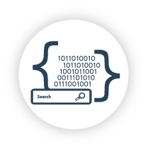 Base de datos y geodata BSI